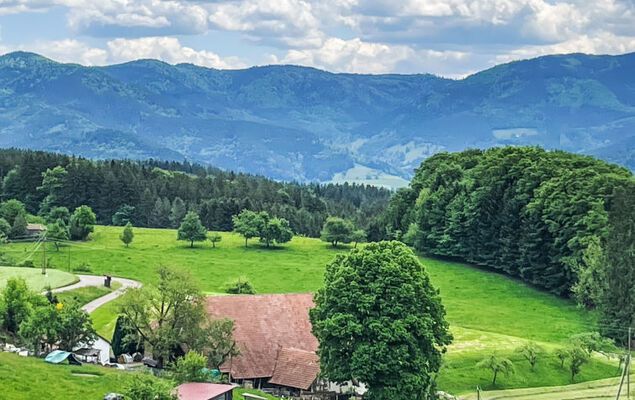 Panoramablick - Photo 13