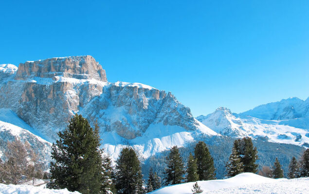 Villa Placidia Apt 21 - Photo 37