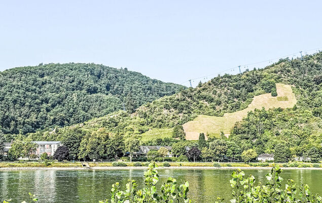 Tiny Haus Vierseenblick Nummer 3 - Photo 31