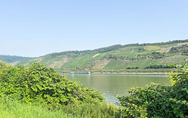 Tiny Haus Vierseenblick Nummer 3 - Photo 33