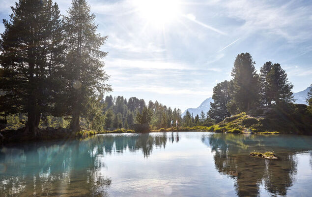 Christians Hamat - Photo 30